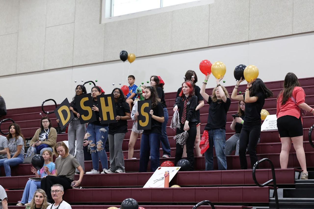 Team members in the stands holding D-S-H-S signs and balloons
